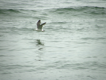 photo 164978