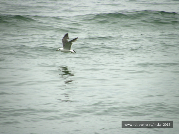 photo 164978