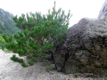 photo 164982