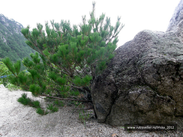 photo 164982