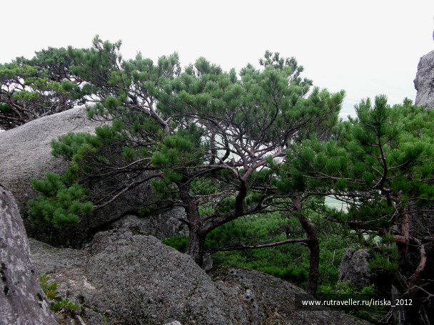 photo 164983