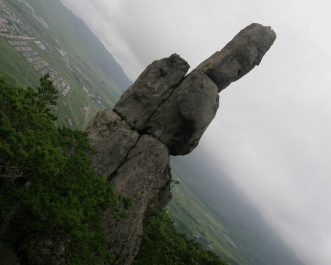 photo 164985