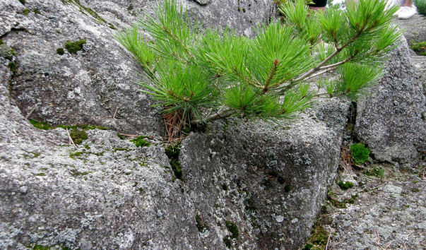 P8092457