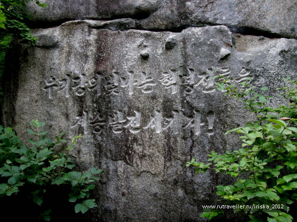photo 164988