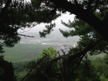 photo 164989