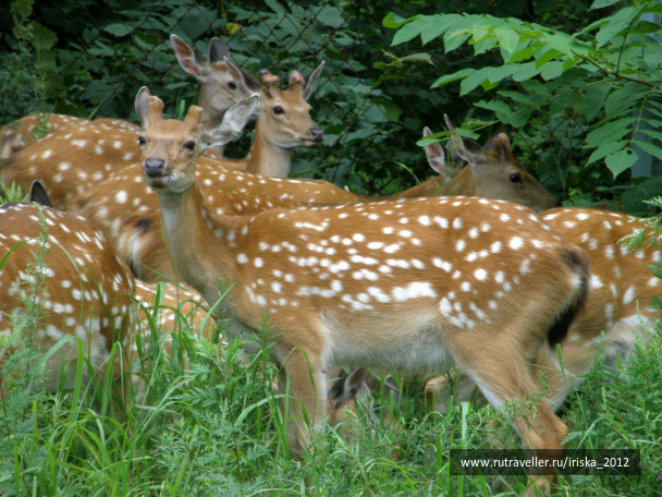 photo 164992