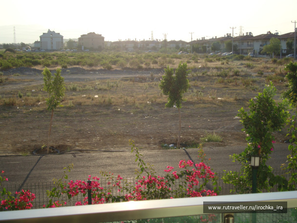 photo 513541