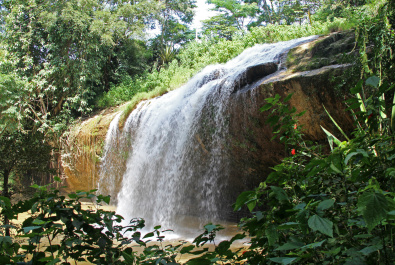 photo 239757
