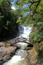 photo 240215