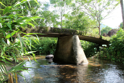 photo 246275