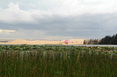 photo 275678