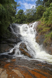 photo 275744