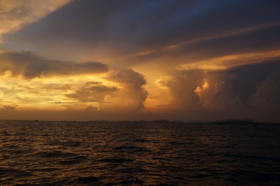 photo 377376