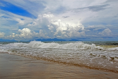 photo 918792