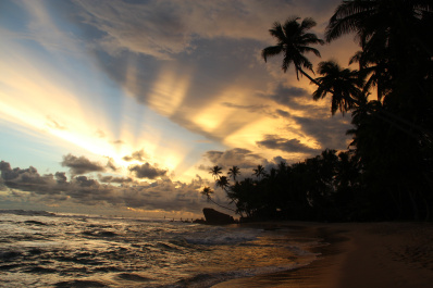 photo 237201
