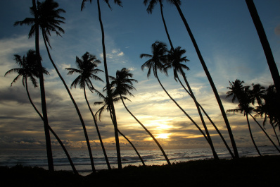 photo 263255