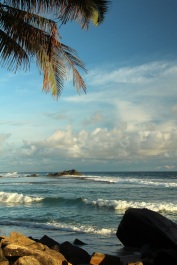 photo 458784