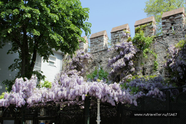 photo 423458