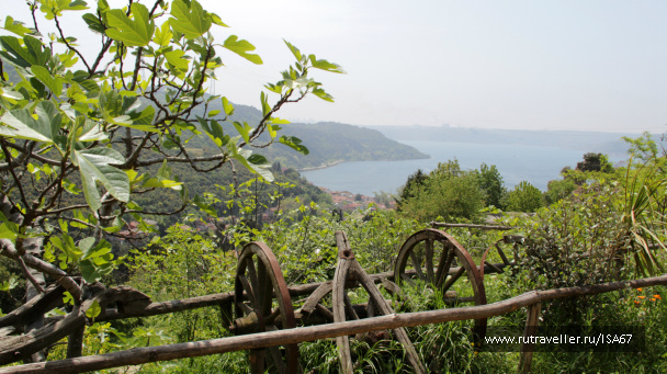 photo 424532