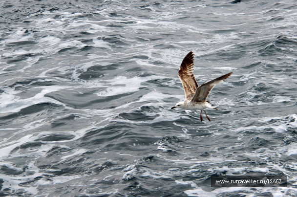 photo 584610