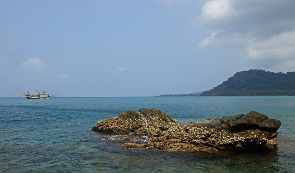 DSC07197