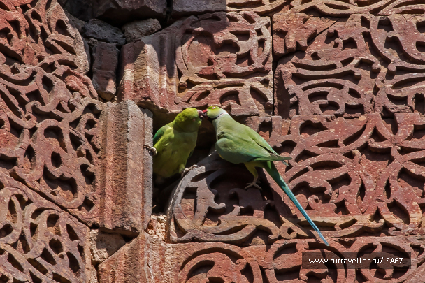 photo 1549694