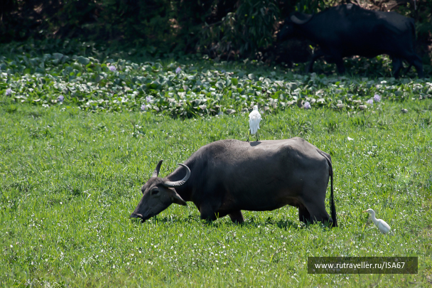 photo 1599743