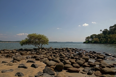 photo 646858