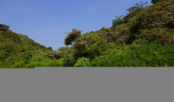 DSC03324