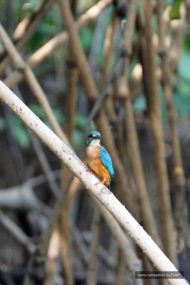 photo 791731