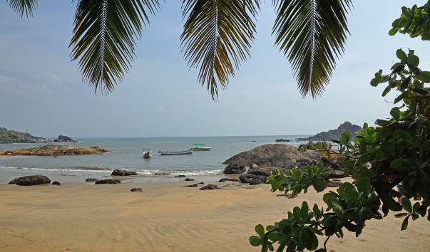 DSC03005