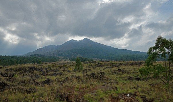 DSC05209