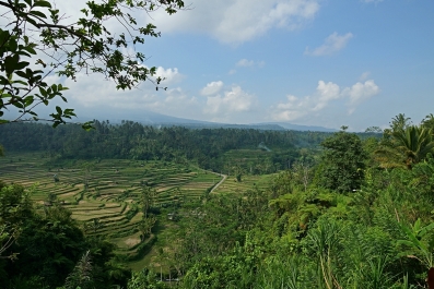 photo 870788