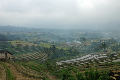 photo 874884