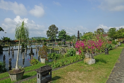 photo 907813