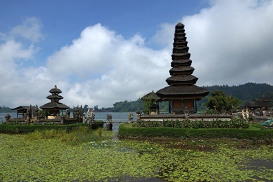 photo 947832