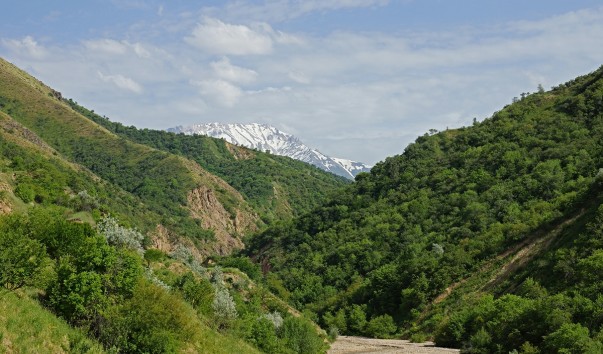 DSC04263