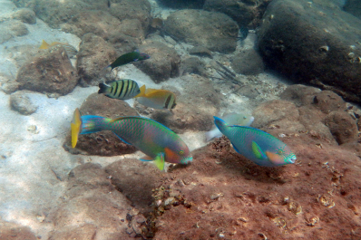 photo 1211245