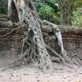Камбоджа, храм Бантей Кдэй