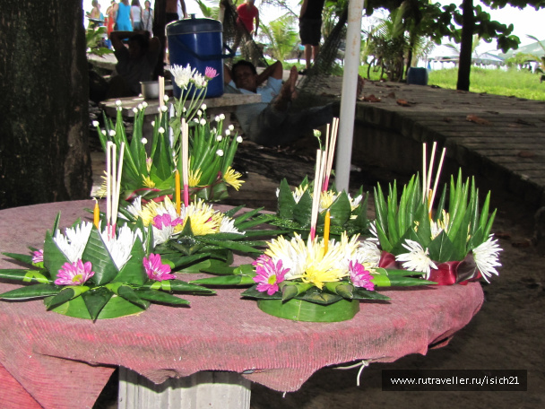 photo 229322