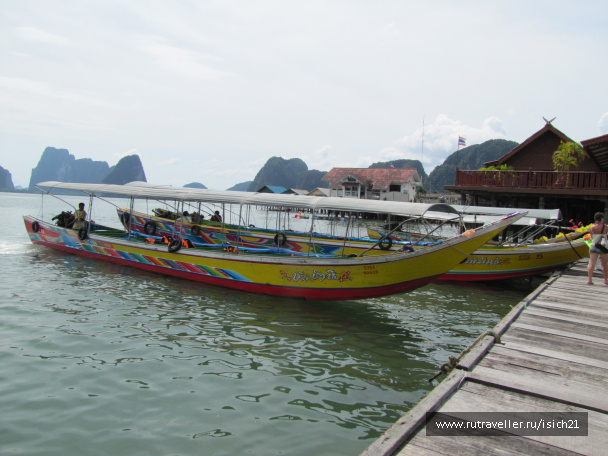 photo 229331