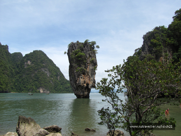 photo 229335