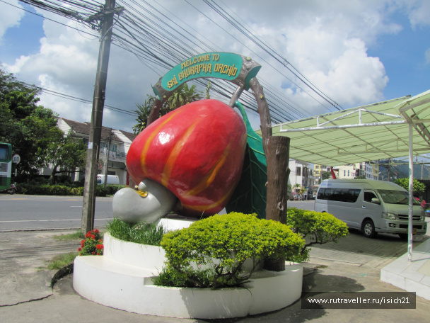 photo 229363