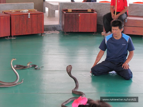 photo 229364