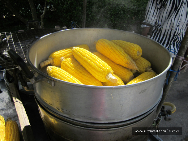 photo 229370