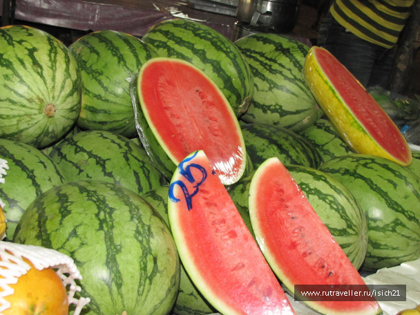 photo 229407