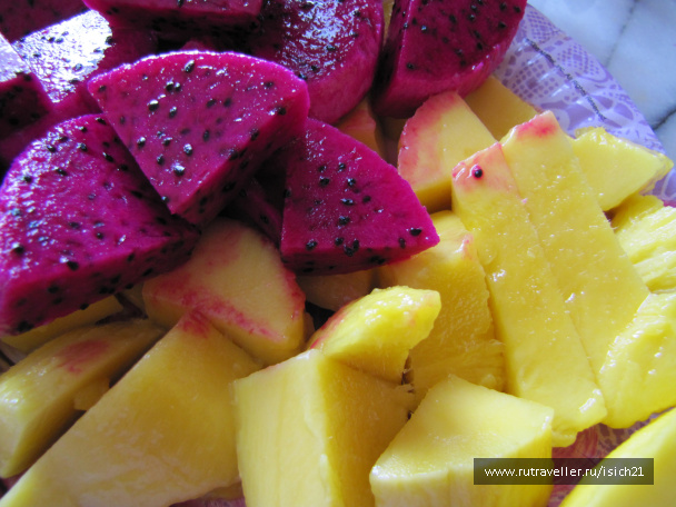 photo 229419