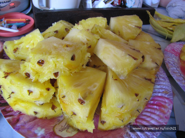 photo 229424