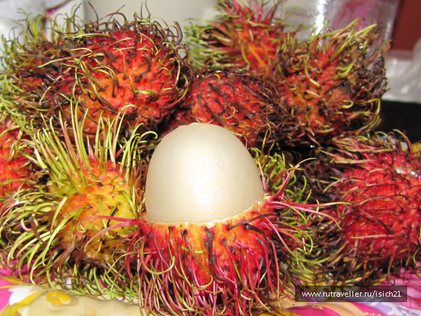 photo 229425