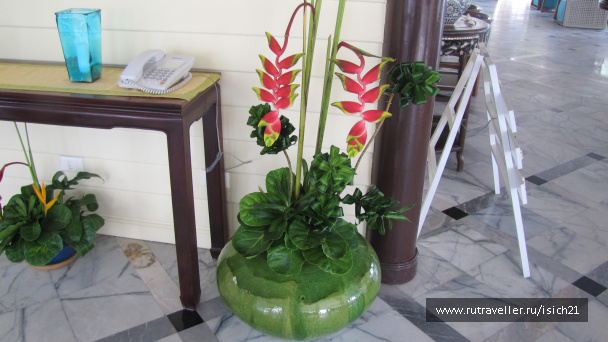 photo 229430